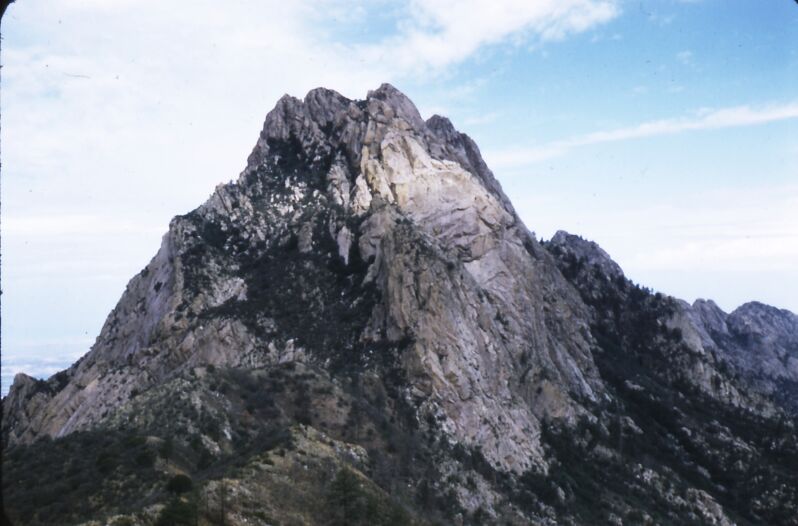 Organ Needle from South