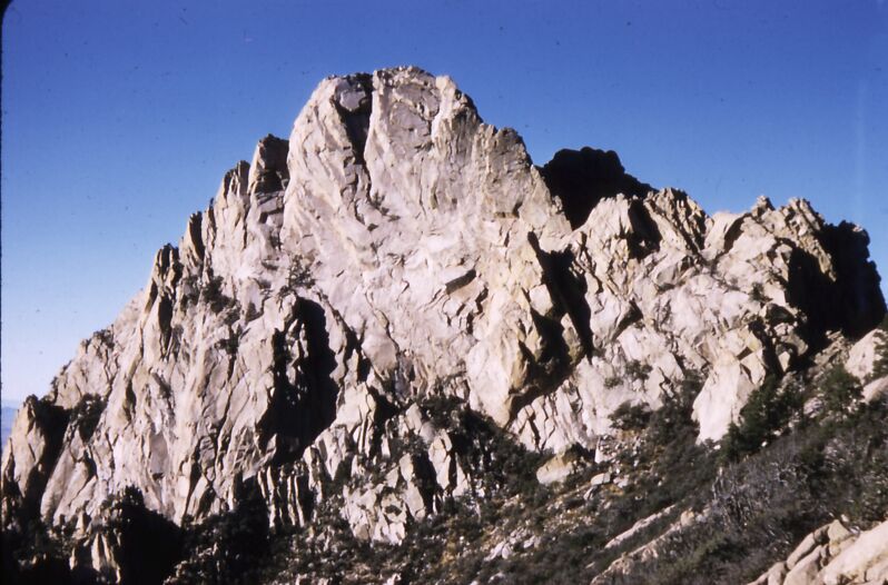 Wedge